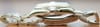 Rolex Datejust 116200 White Roman Numeral WRO