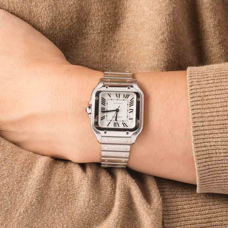Buy Used Cartier Santos De Cartier WSSA0029 | Bob display picture 1