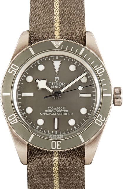 Pre-Owned Tudor Black Bay 58 925 Ref 79010SG Taupe Bezel & Dial