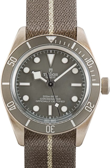 Pre-owned Tudor Black Bay 58 925 Ref 79010 Taupe Dial