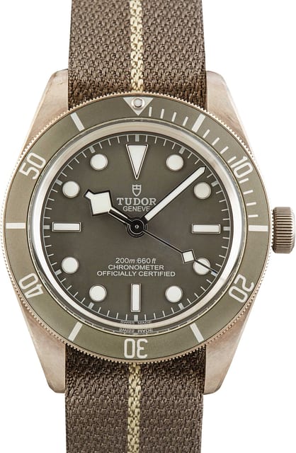 Tudor Black Bay 58 925 Ref 79010 Taupe Bezel & Dial