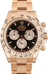 Rolex Daytona 18k Everose Gold 126505 Black Dial
