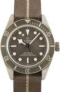 Pre-owned Tudor Black Bay 58 925 Ref 79010 Taupe Bezel & Dial