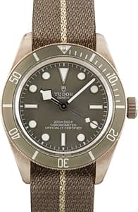 Tudor Black Bay 58 925 Ref 79010 Taupe Bezel & Dial