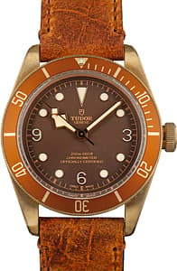 Tudor Heritage Black Bay 79250BM Brown Dial