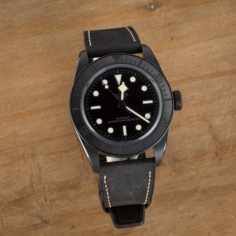 Tudor Black Bay 79210 Ceramic