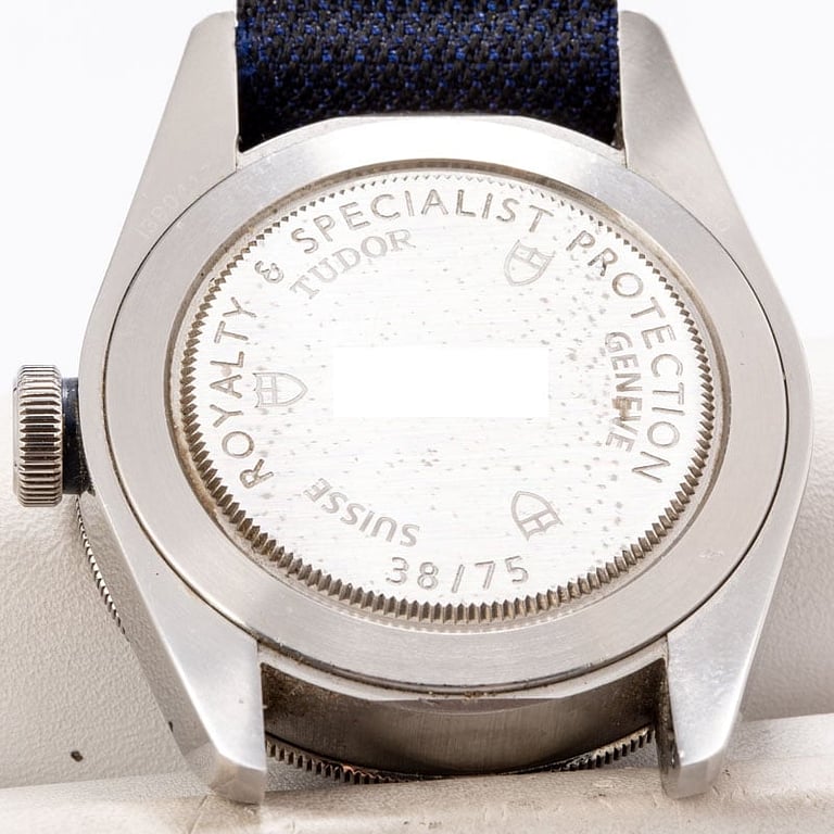 Tudor Black Bay 79220B "Royalty and Specialist Protection Unit"