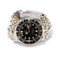 Rolex GMT-Master 16753 Two Tone American Oval Link