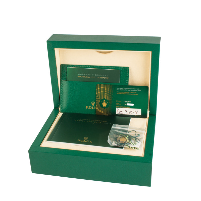 Rolex Oyster Perpetual 41 Ref 124300 Silver Dial