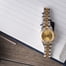 Women's Rolex Oyster Perpetual 76193