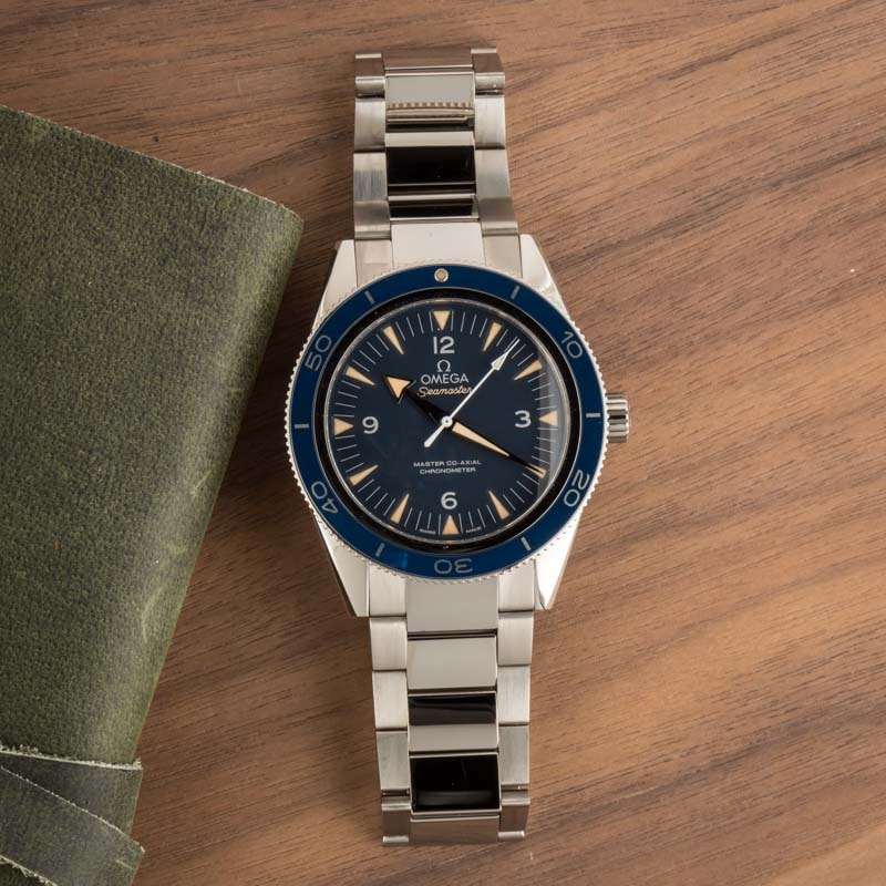Omega Seamaster Titanium on Titanium
