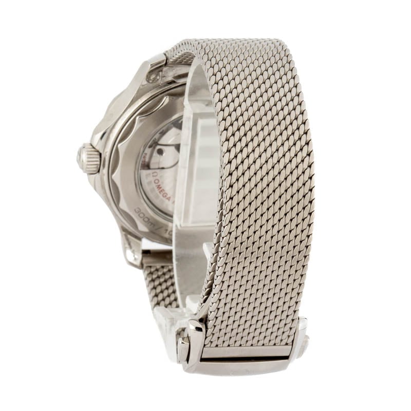 Omega Seamaster Diver 300M Steel on Rubber Strap