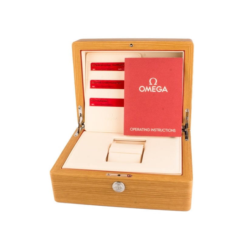 Used Omega Seamaster Railmaster Grey Gradient Dial