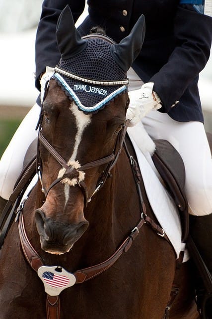 Rolex Connection to Equestrian Sports