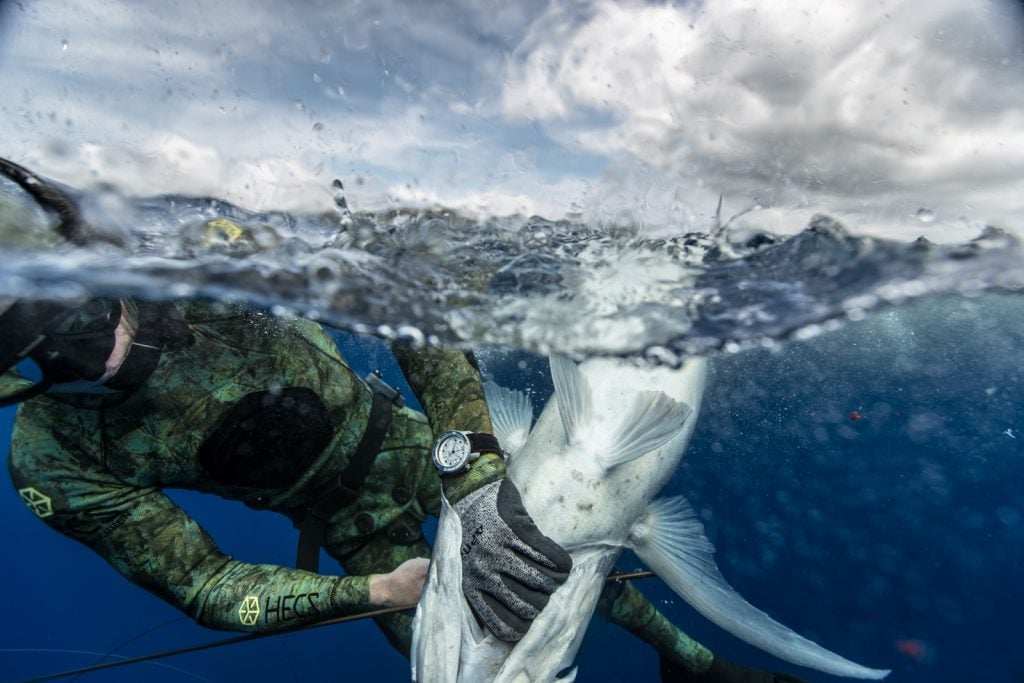 A Supermarine Waterman in action (Photo courtesy of Bremont)