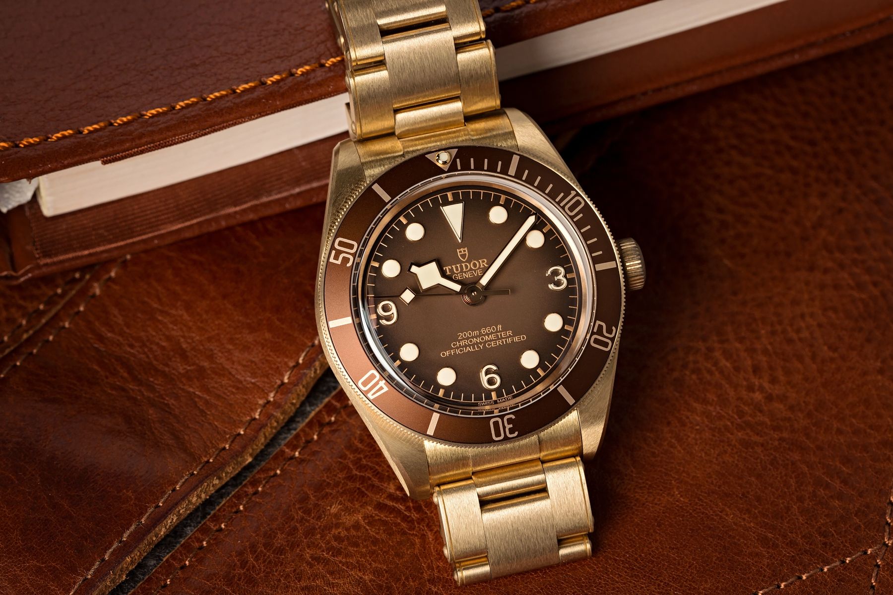How to Identify Future Collectible Watches Tudor Black Bay Fifty-Eight Bronze