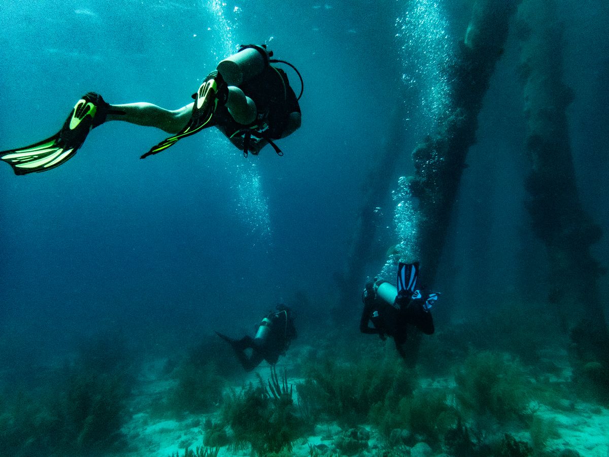 Young Adolescent Scuba Diver Poses Depth Stock Photo 25381567 | Shutterstock