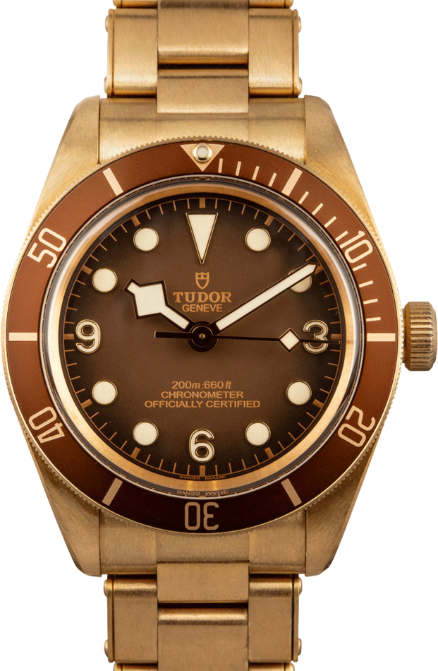 Image of TUDOR