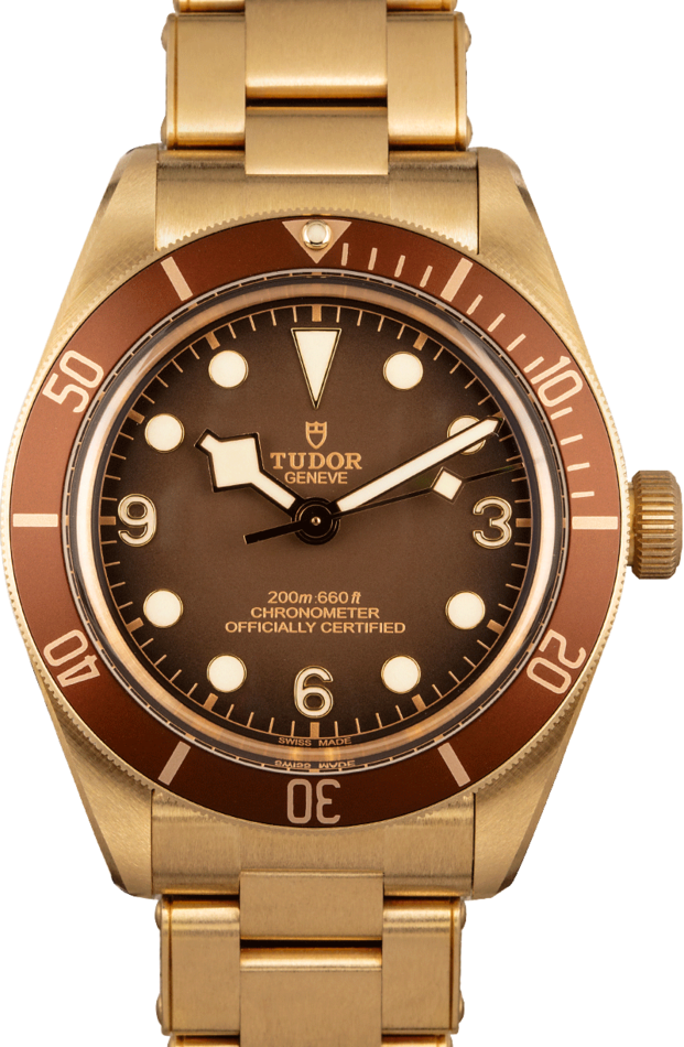 Image of TUDOR