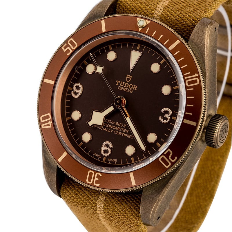 Tudor Heritage Black Bay 79250BM Bronze Case