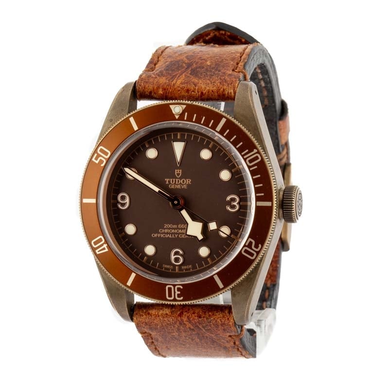 Tudor Heritage Black Bay 79250BM Brown Dial