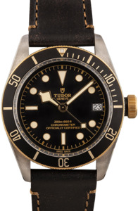 Tudor Heritage Black Bay 79733N Two Tone Watch