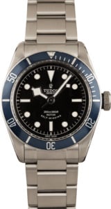 Tudor Heritage Black Bay 79220B Steel Watch