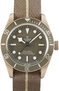 Pre-owned Tudor Black Bay 58 925 Ref 79010 Taupe Dial & Bezel