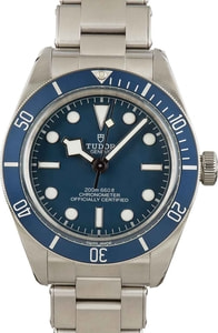 Tudor Heritage Black Bay 79030