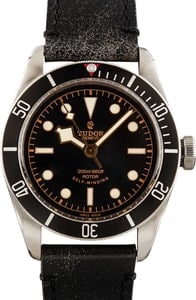 Tudor Heritage Black Bay 79220