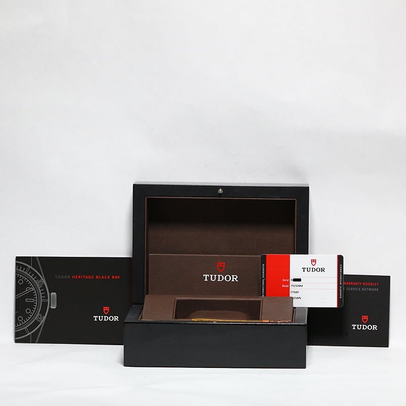 Tudor Heritage Black Bay 79250BM Bronze Case