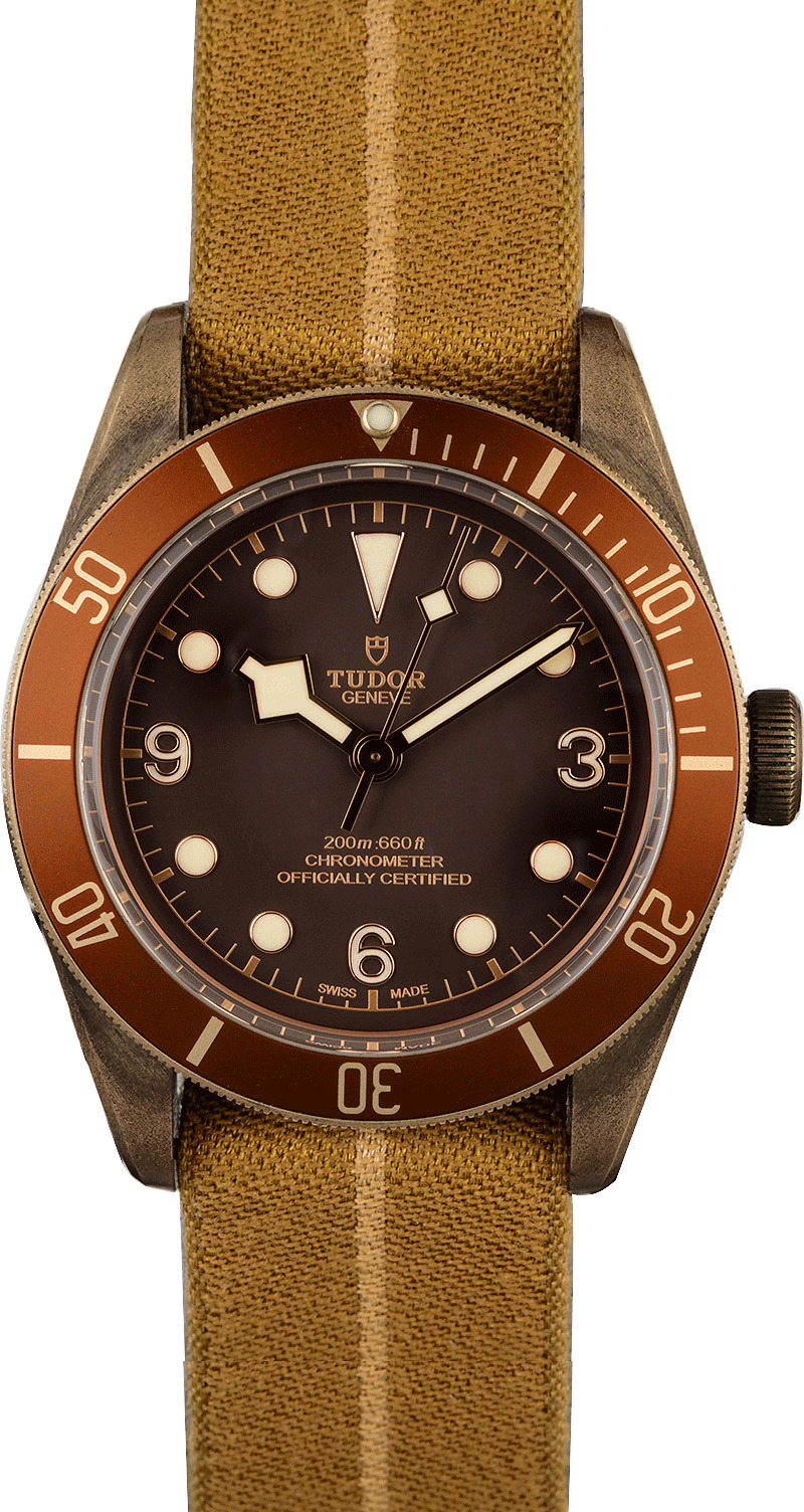 tudor heritage black bay bronze 79250bm